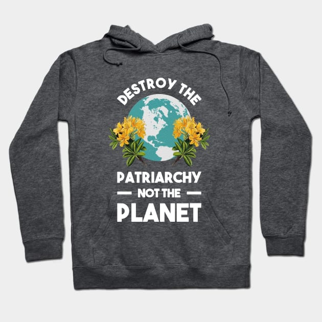 Destroy The Patriarchy Not The Planet Best Merch Hoodie by erthanis